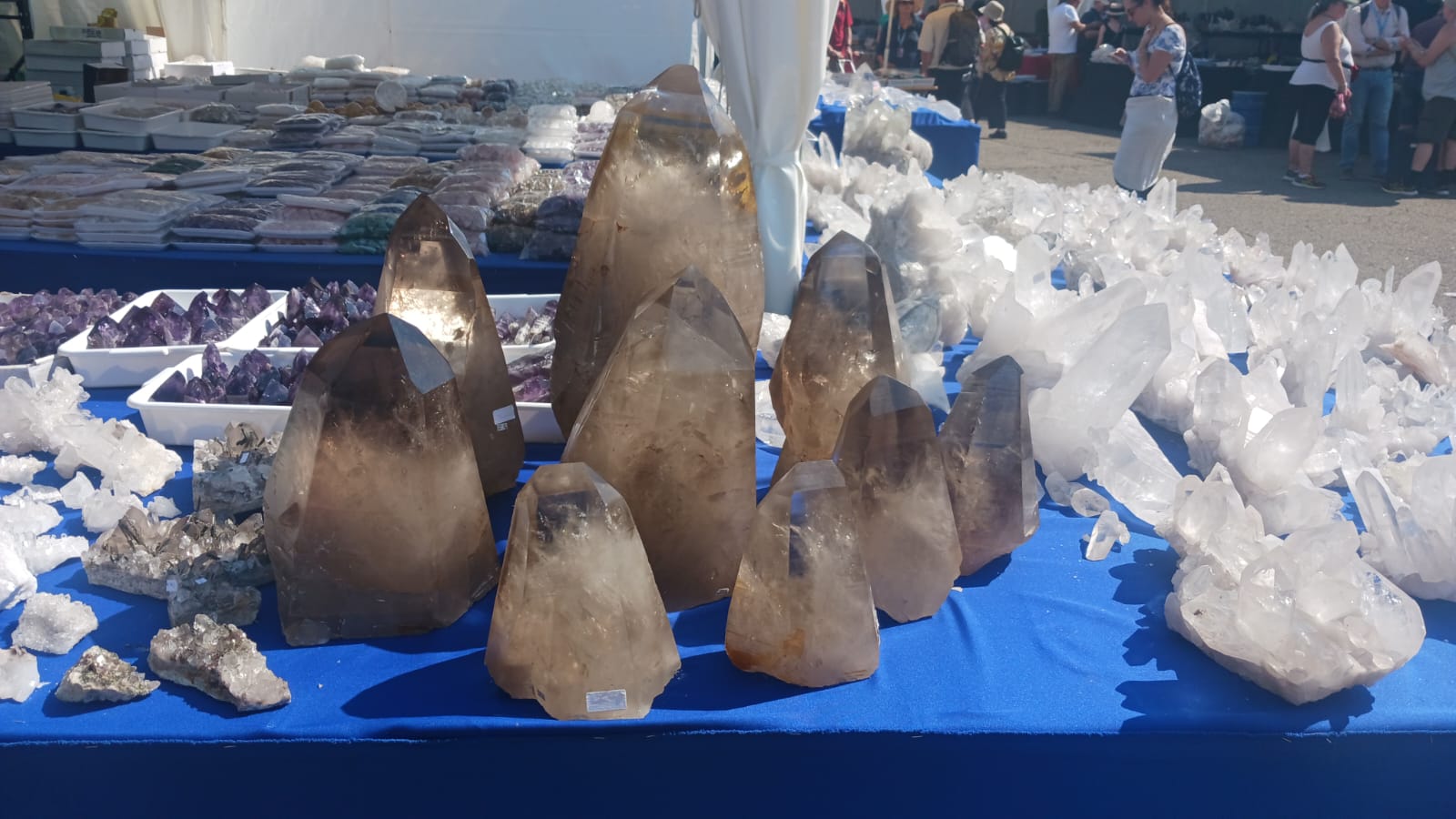 Mineral & Gem 2025: una gran exposición mineralógica internacional