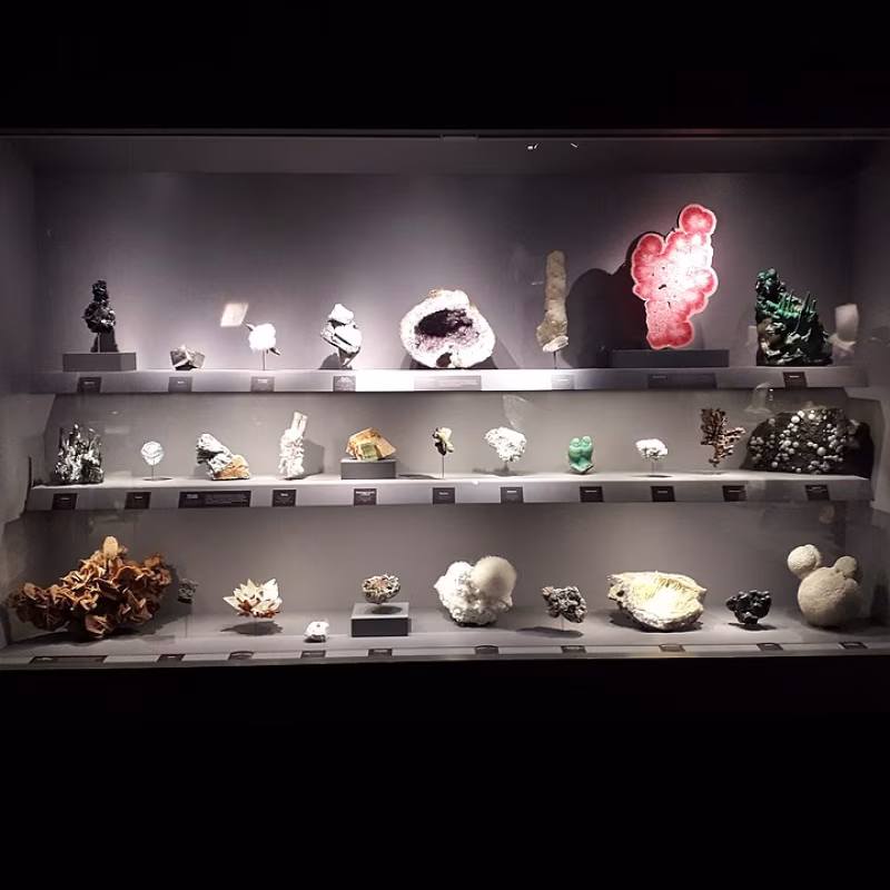 Galería de Geología y Mineralogía del Jardín de las Plantas de París Museum national histoire naturelle