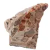 Leopardo - 0