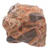Leopardo - 0