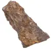 Broncita de Brasil - 0