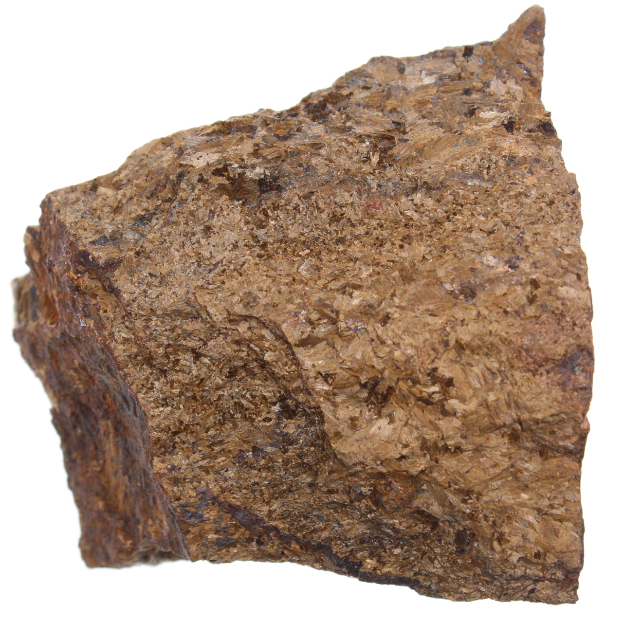 Broncita de Brasil