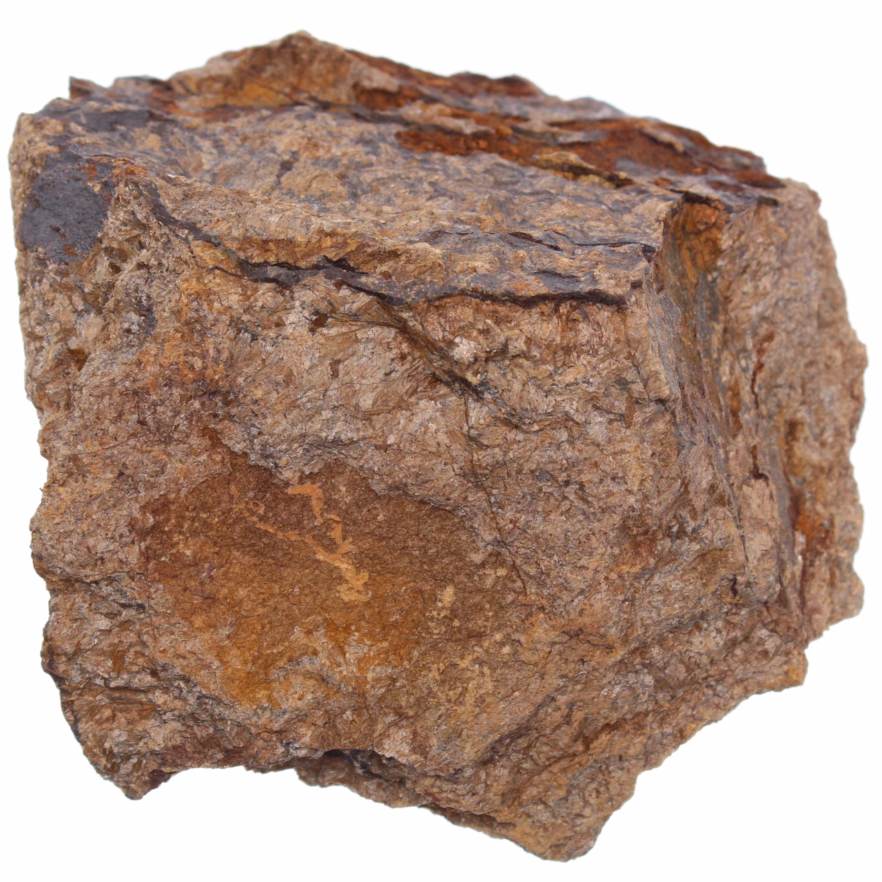 Broncita de Brasil