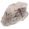 Rubelita - 0
