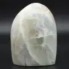 Garnierita pulida - 0
