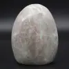 Garnierita pulida - 0