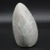 Garnierita pulida - 2
