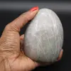 Garnierita pulida - 1