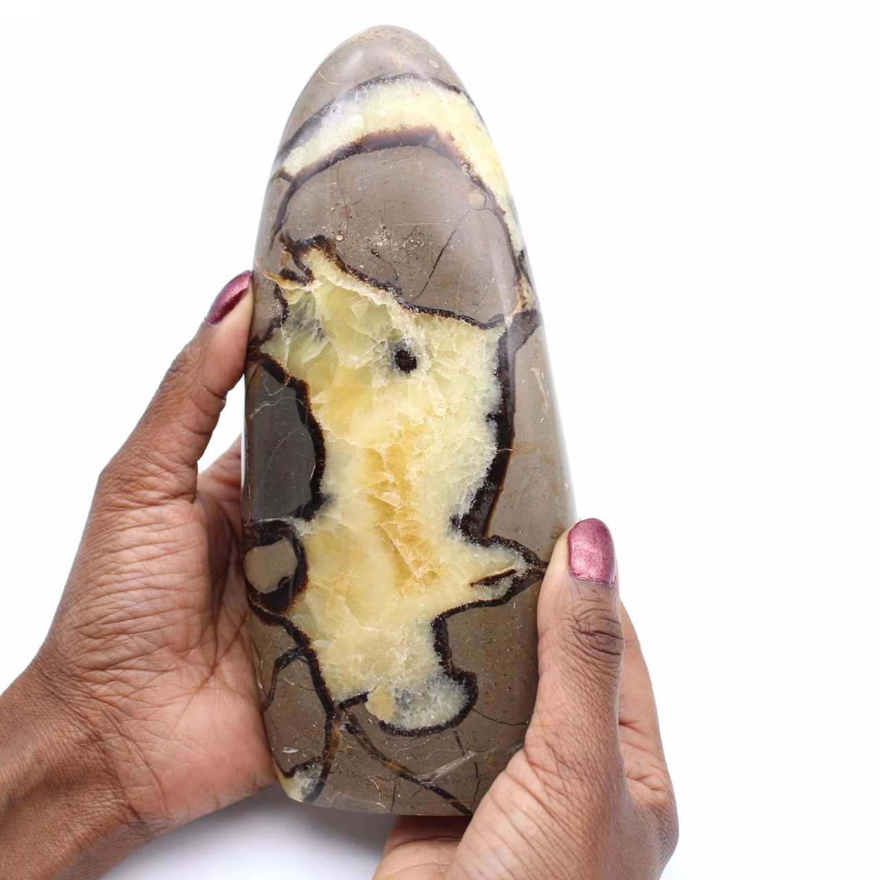 Piedra septaria
