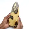 Septaria pulida de Madagascar - 0