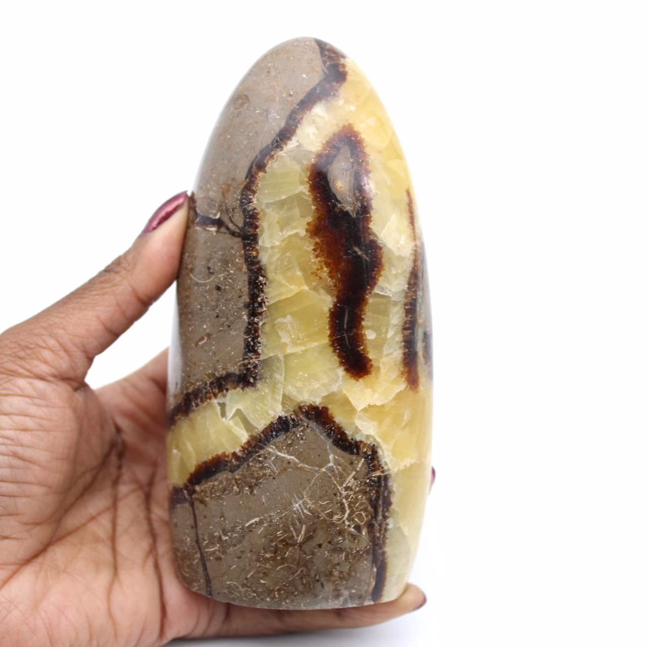 Piedra septaria pulida