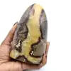 Roca septaria - 0