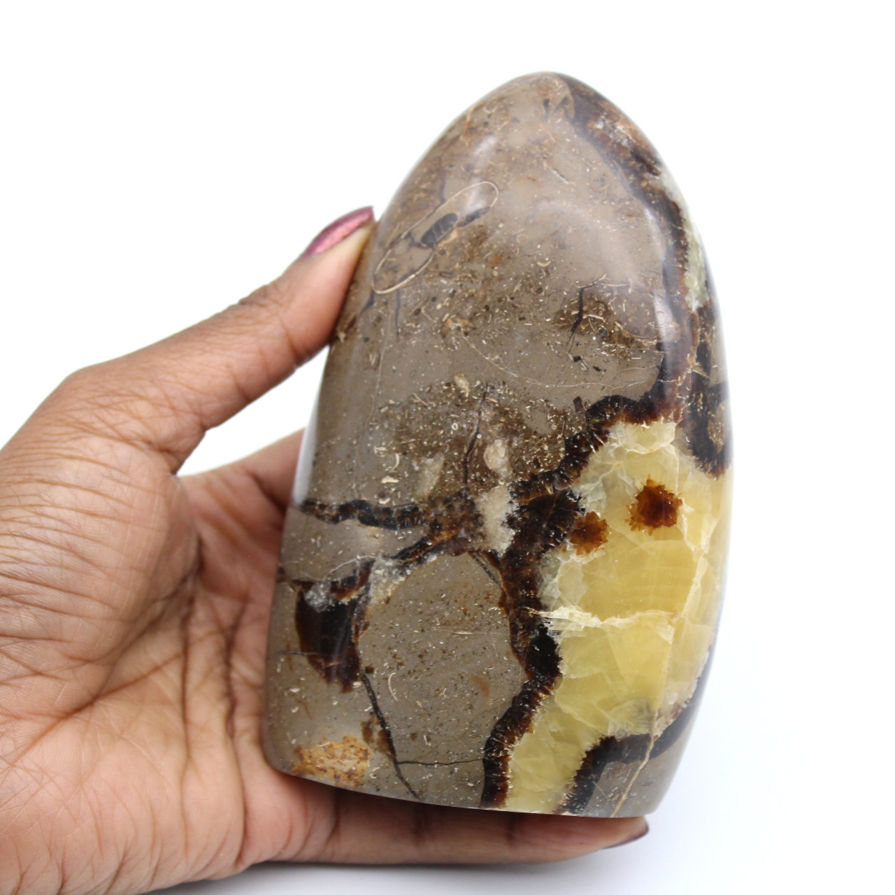 Roca septaria pulida
