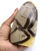 Piedra septaria - 0