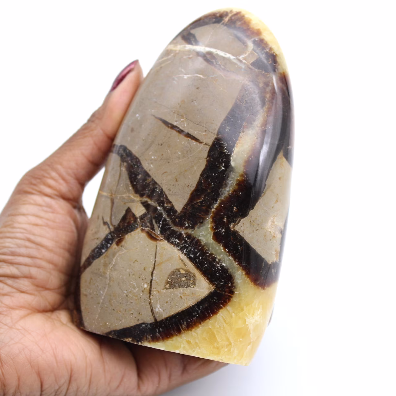 Piedra septaria