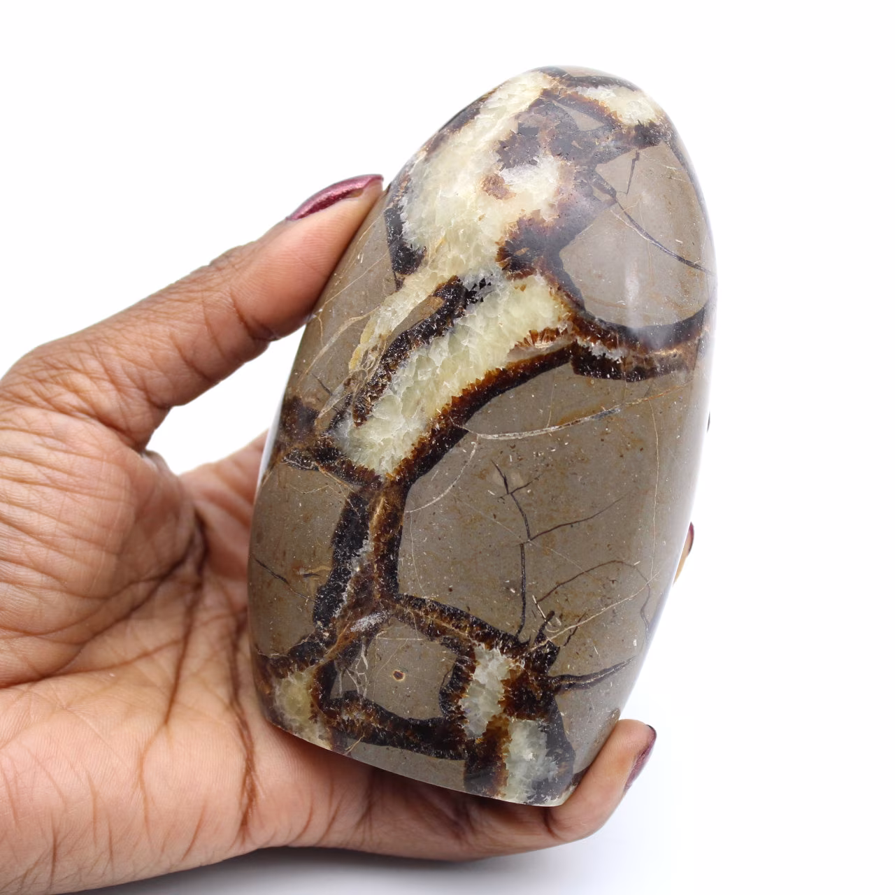 Roca septaria pulida