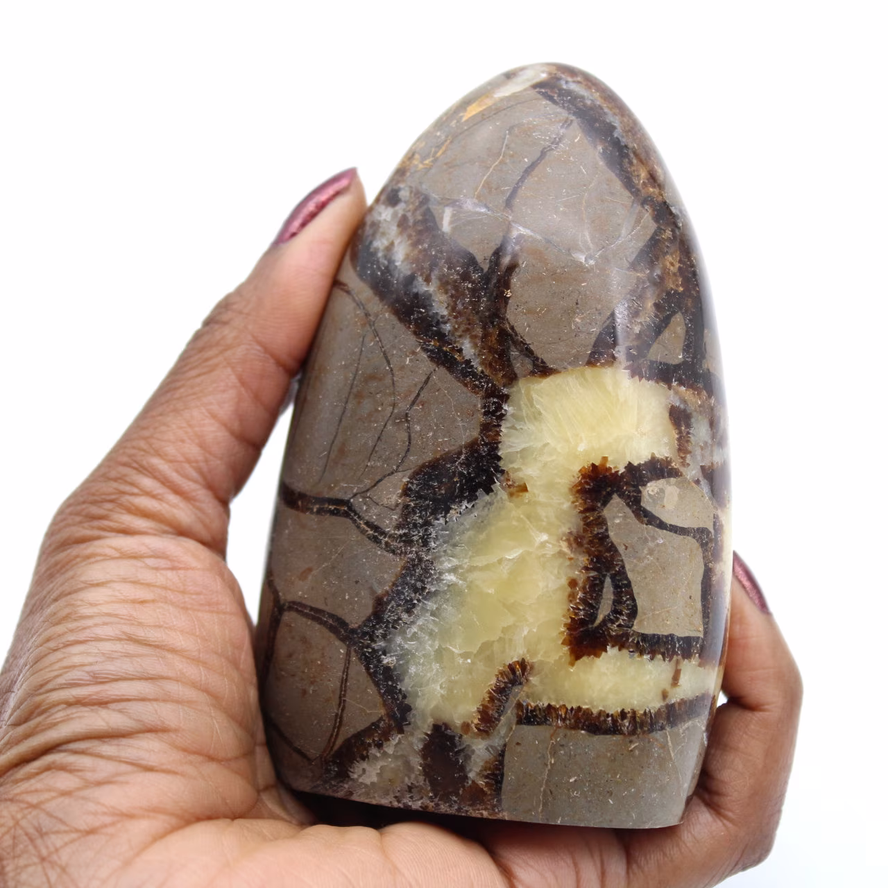 Piedra septaria