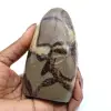 Piedra septaria pulida - 0