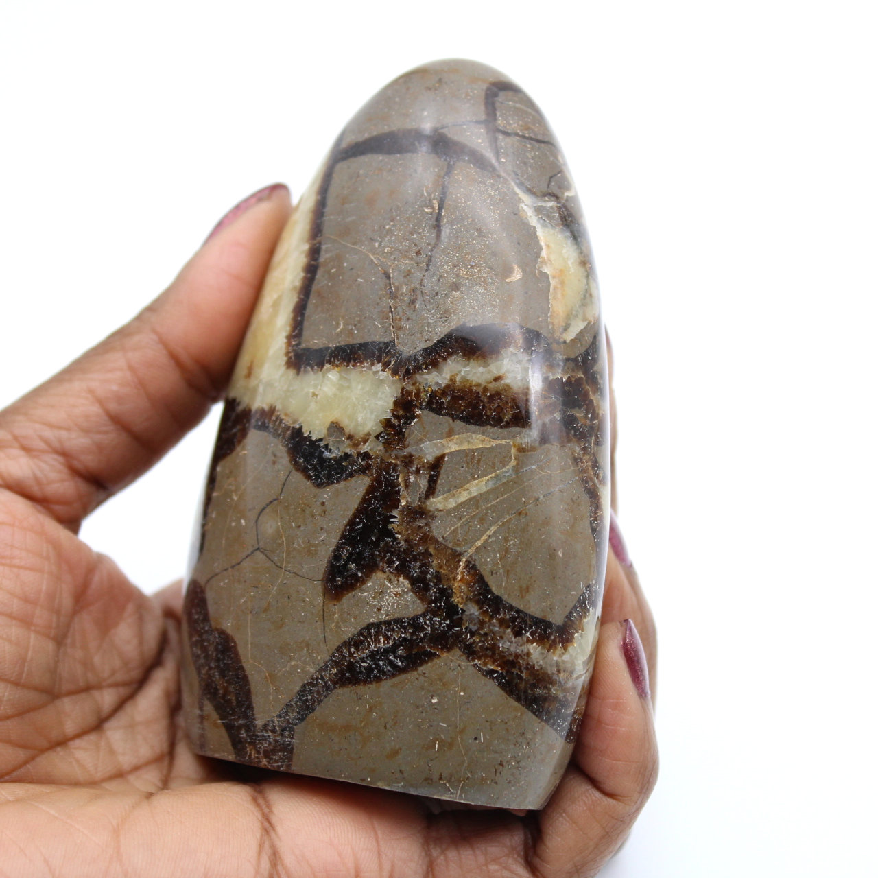 Piedra septaria pulida