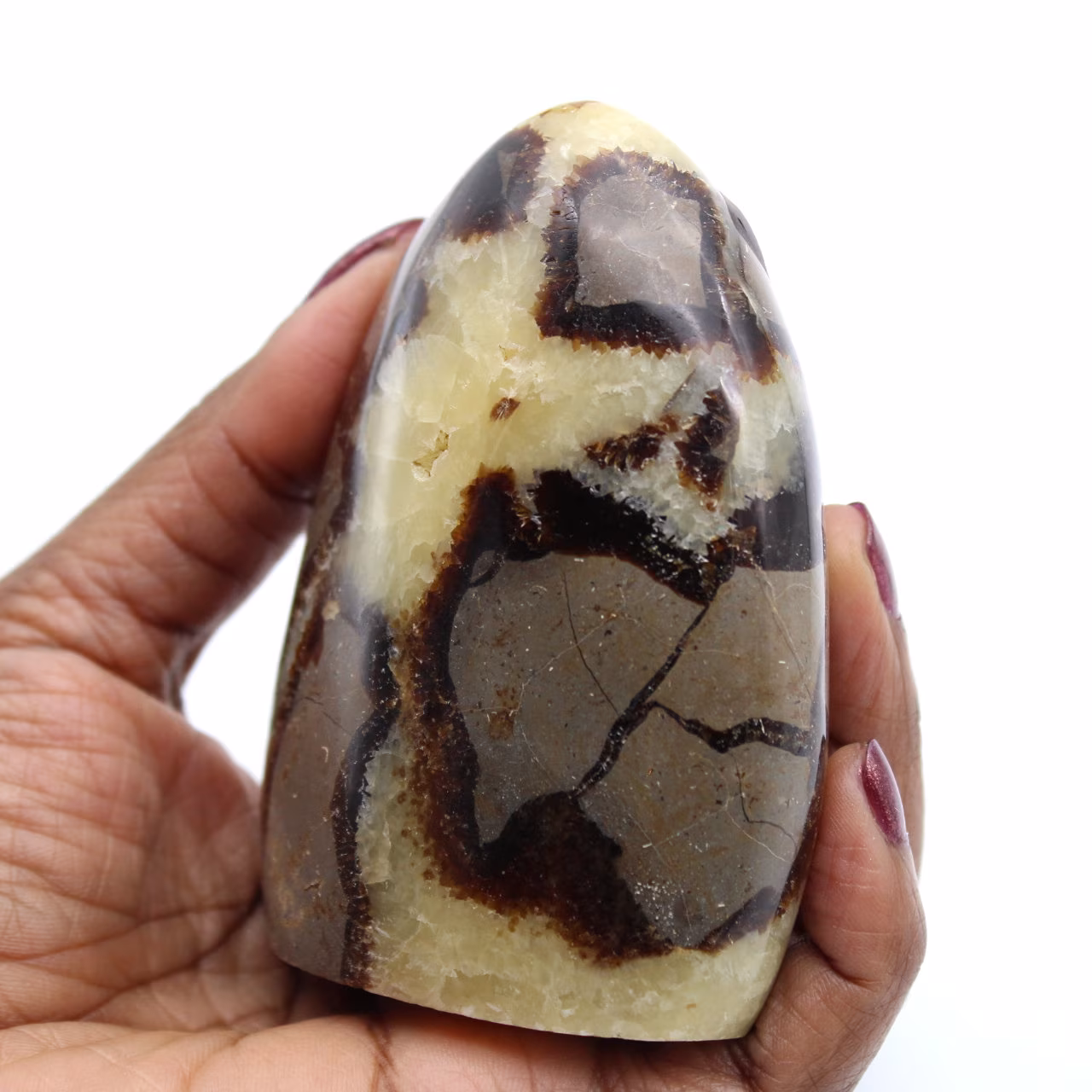 Roca septaria