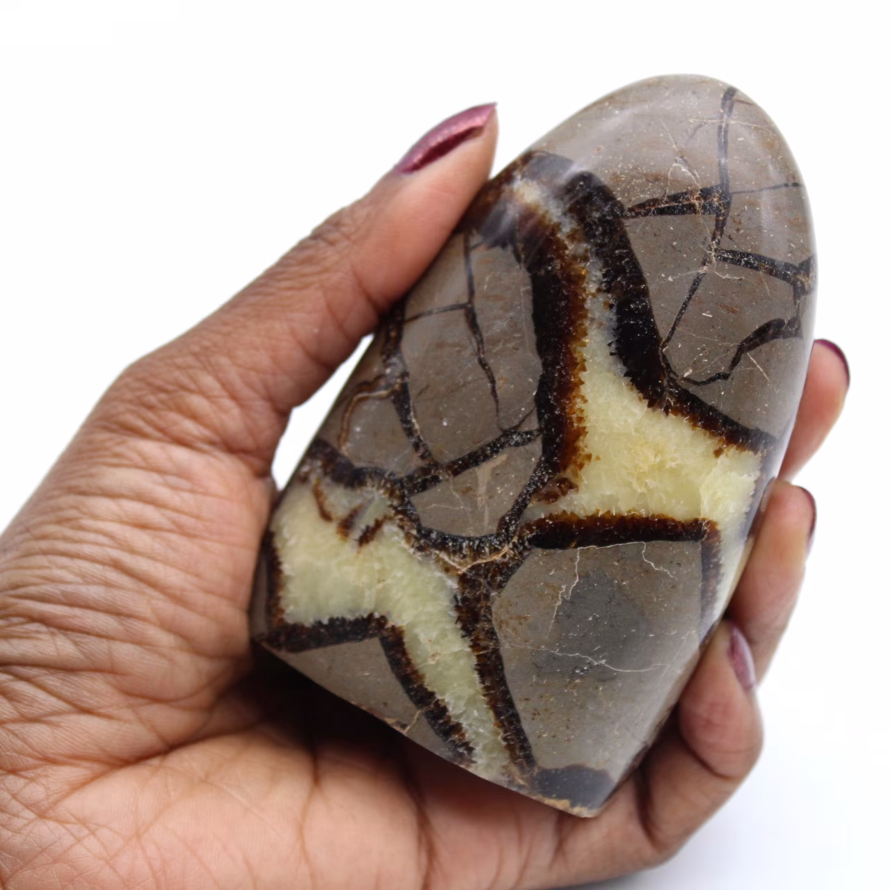 Piedra septaria