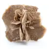Rosa del desierto - 0