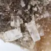 Cristales de sal de roca - 7