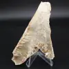 Yeso de punta de lanza - 0