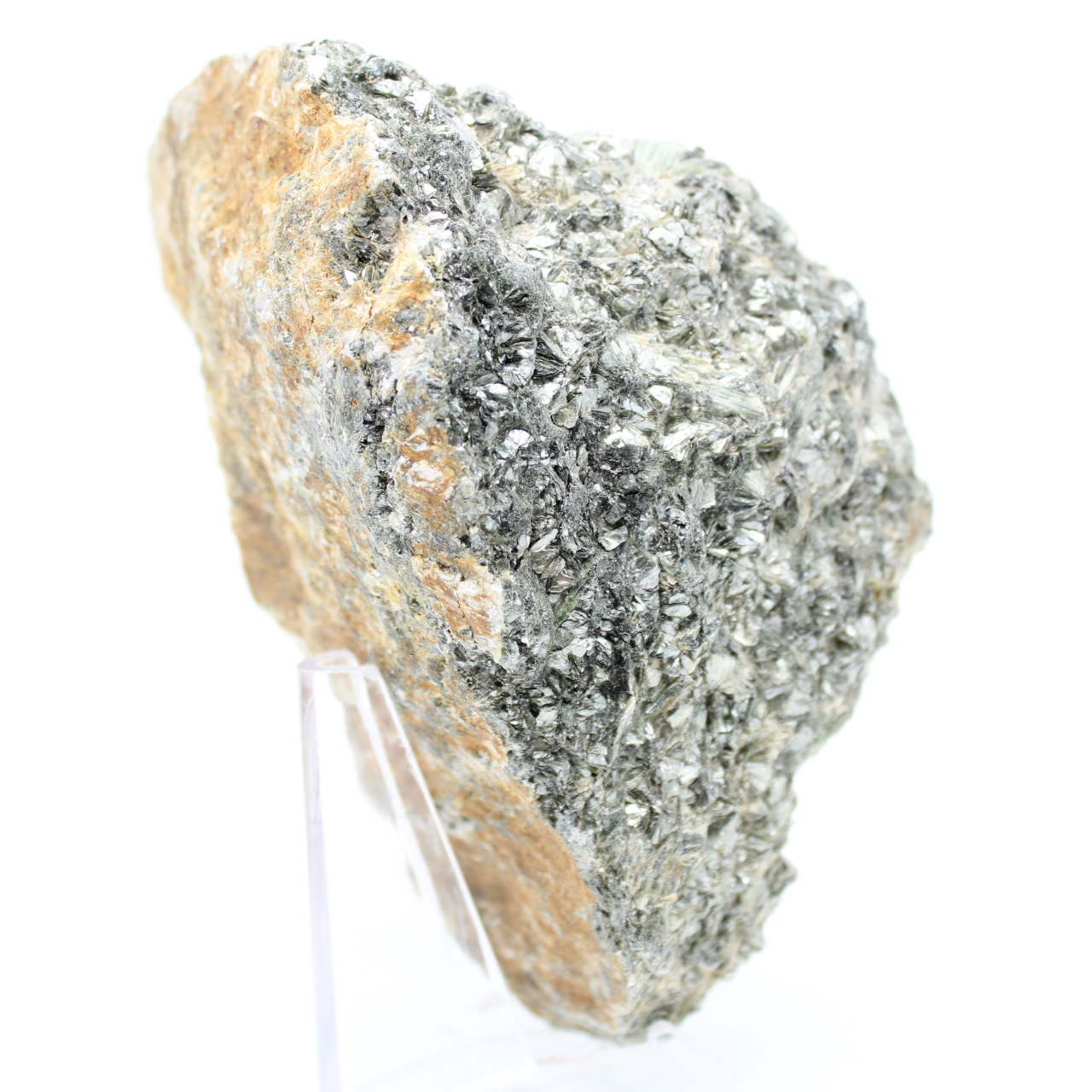Actinolita