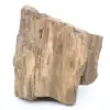Bloque de madera fósil de Arizona - 0