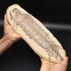 Fósil de pez grande - 0