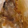 Piedra ornamental de cuarzo amarillo de Madagascar - 5