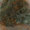 Piedra ornamental crisoprasa de Madagascar - 5