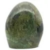 Crisoprasa pulida de Madagascar - 0