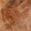 Piedra de luna de microlina rosa pulida de Madagascar - 5