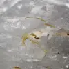 Cuarzo de cristal de roca de forma libre - 5