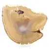 Rebanada de ágata brasileña - 0