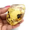 Guijarro de ámbar - 0
