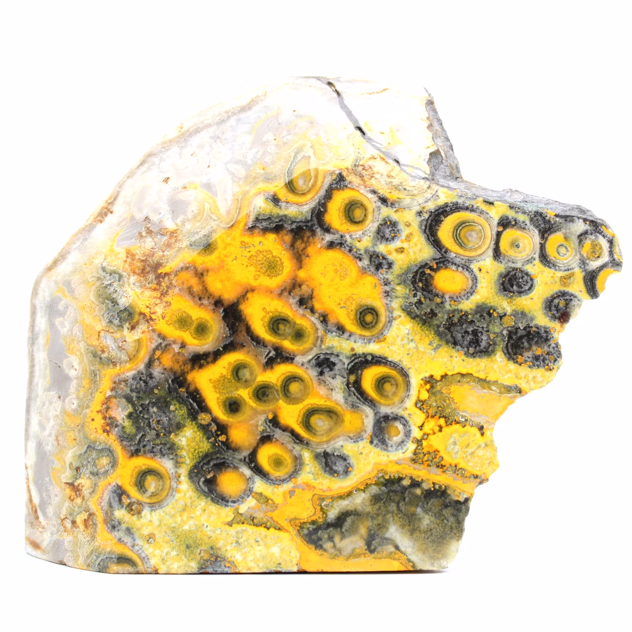 Jasper abejorro indonesia