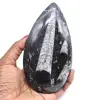 Orthoceras fósiles naturales - 0