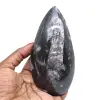 Orthoceras fósil - 0