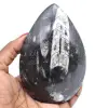 Orthoceras fosilizados - 0