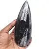 Fósil de orthoceras natural - 0