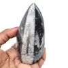 Fósil de orthoceras de marruecos - 0