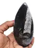 Fósil de orthoceras natural - 0
