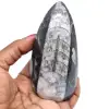 Orthoceras fósiles naturales - 0