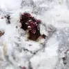 Piedra Eritrita - 2