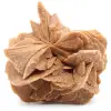 Rosa del desierto - 0