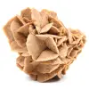 Rosa del desierto - 0
