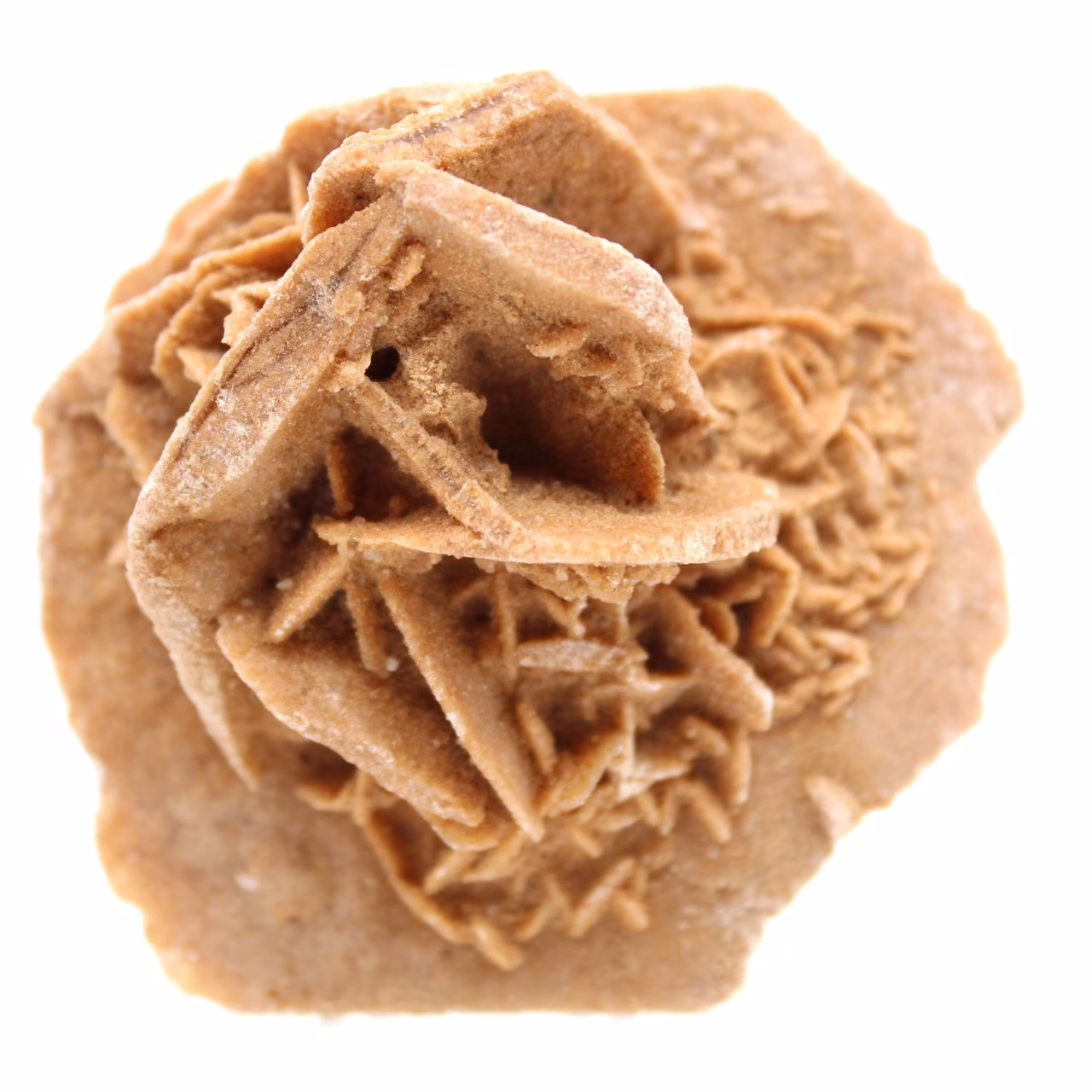 rosa de arena cruda